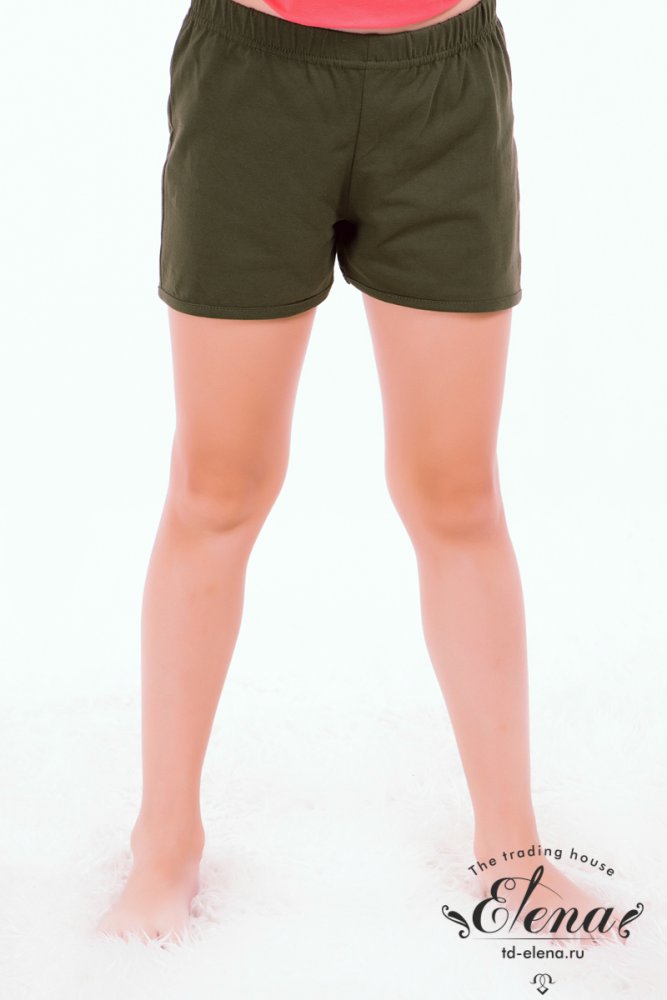 ����� (�/�) �������