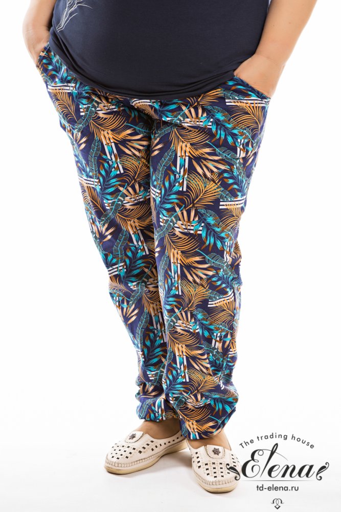 ����� �/� �� �������