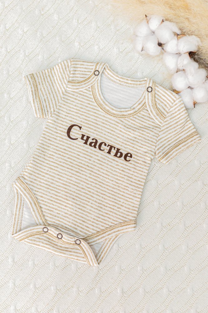 Боди