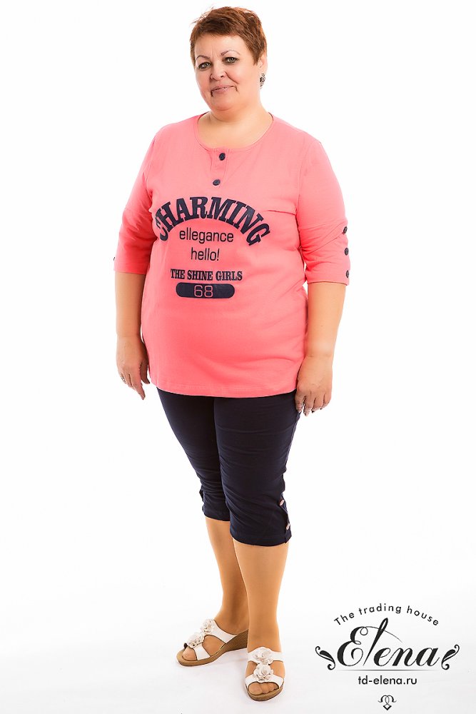 ������ (����+�����)