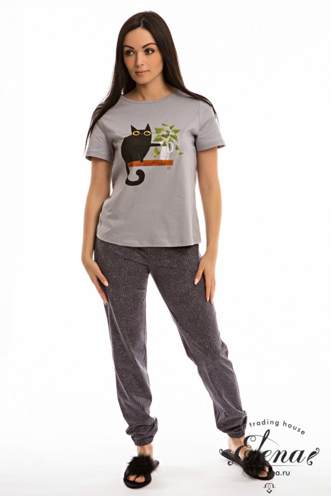 ������ (����+�����)