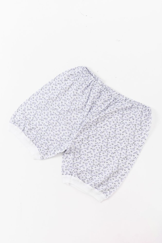 ���������  ���������� 