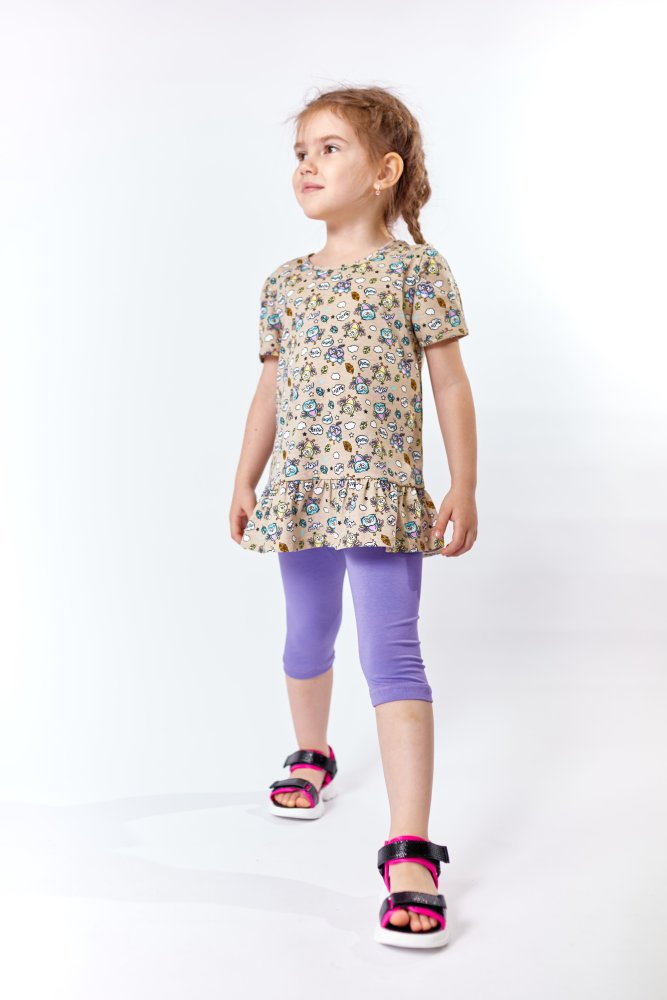 ������ ������ � �����������