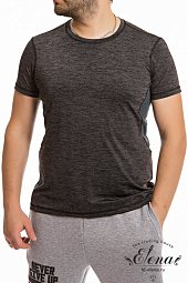 ��������  ����������