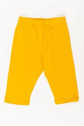 ����������� � �������