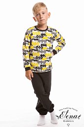 ������ (� �������) �����