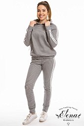 Костюм (толстовка+брюки)