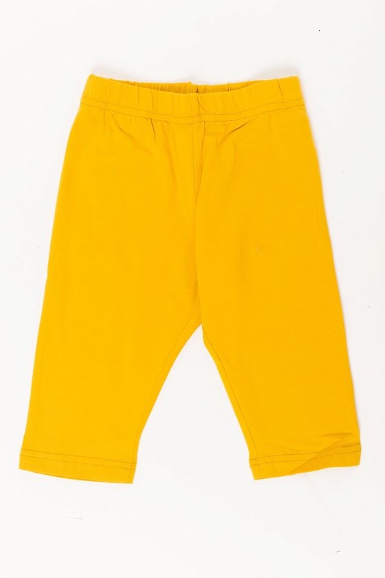 ����������� � �������