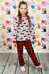 ������ (� �������) �����