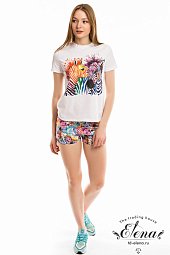 ������ (��������+�����)