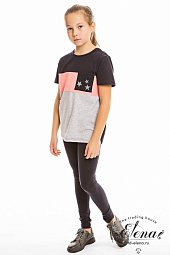 ������ (��������+������)