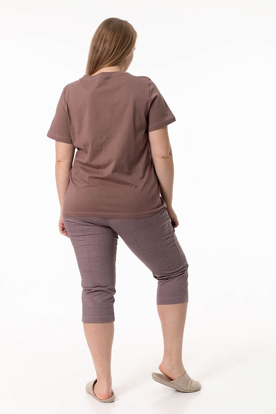 ������ �������� � �����