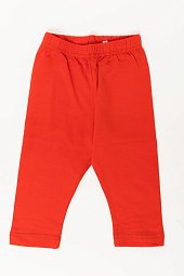 ����������� � �������