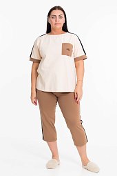 ������ (��������+�����)