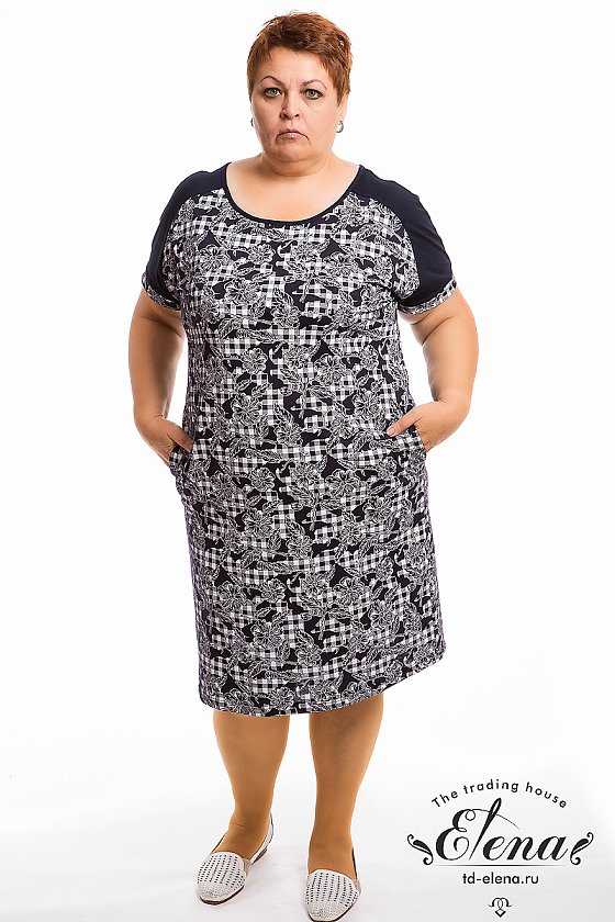 ������ (�/�)