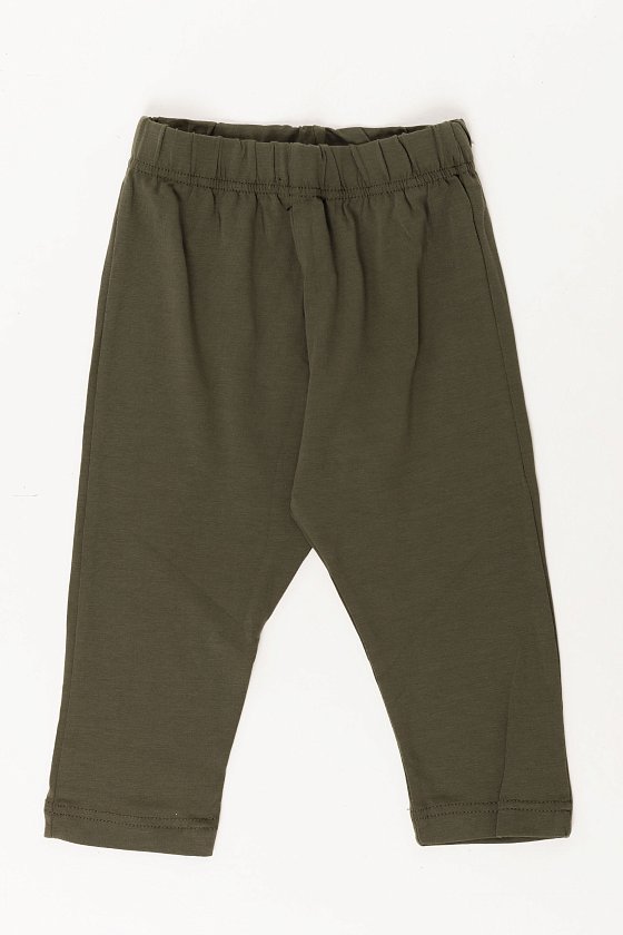 ����������� � �������