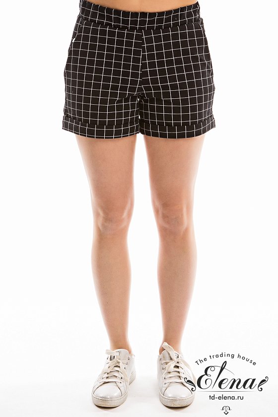 ������ (����+�����)