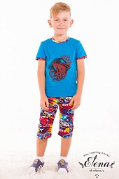 ������ (����+�����) �/� %