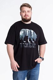 �������� � �������