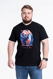 �������� � �������