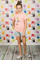 ������ (����+�����)