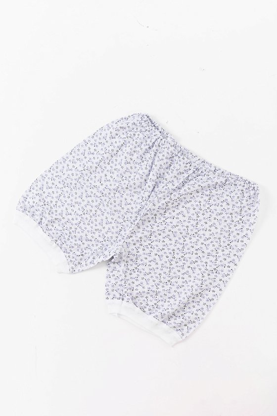 ���������  ���������� 