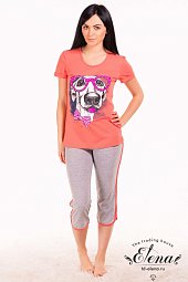 �������� �������� %