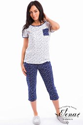 ������ (����+�����)