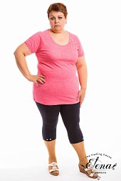 ������ (����+������)