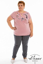 ������ (����+�����)