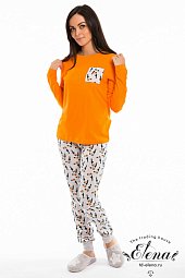 �������� �������� 