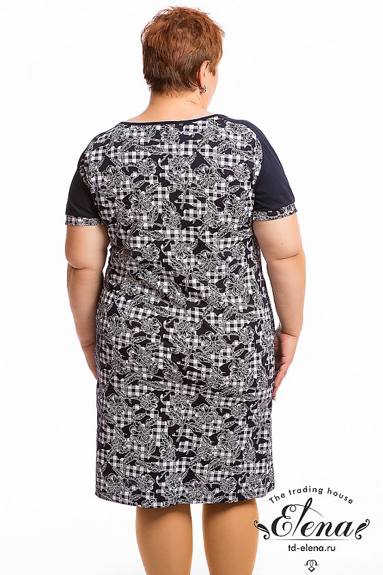 ������ (�/�)