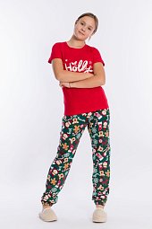 ������ (����+�����)