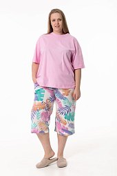 ������ �������� � �����