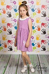 ������ (�/�)