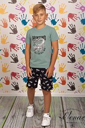 Костюм (футболка+шорты)