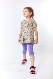 ������ ������ � �����������