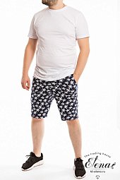 ����� (�/�)