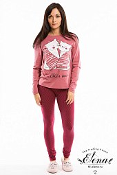 ������ (��������+������)