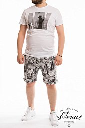 ������ (��������+�����)