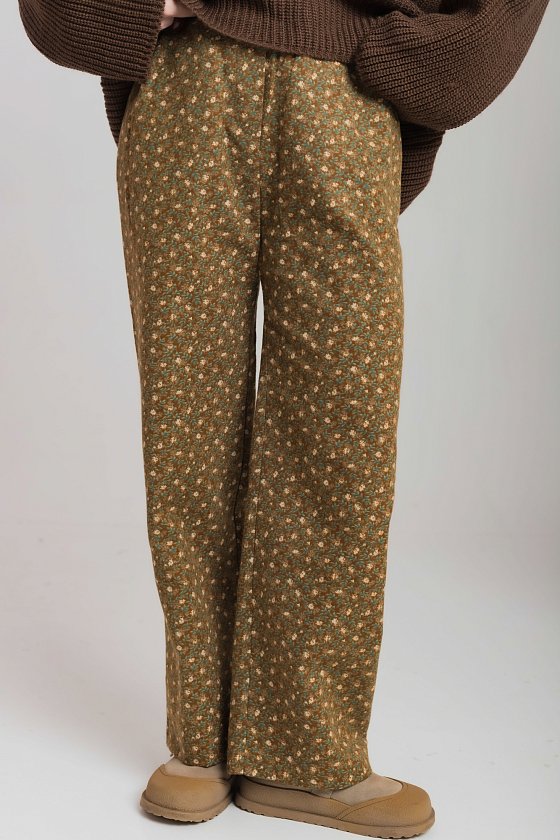 ����� ���������� ���� 