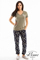 ������ (��������+�����)