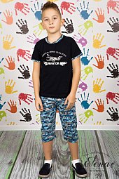 ������ (��������+�����)