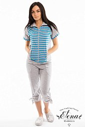 ������ � ��������