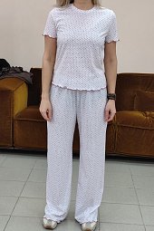 ������ �������� � �����