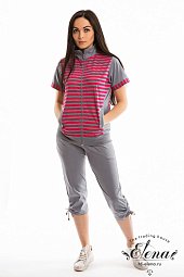 ������ � ��������