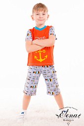 ������ (��������+�����) �/�  