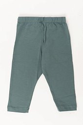 ����������� � �������