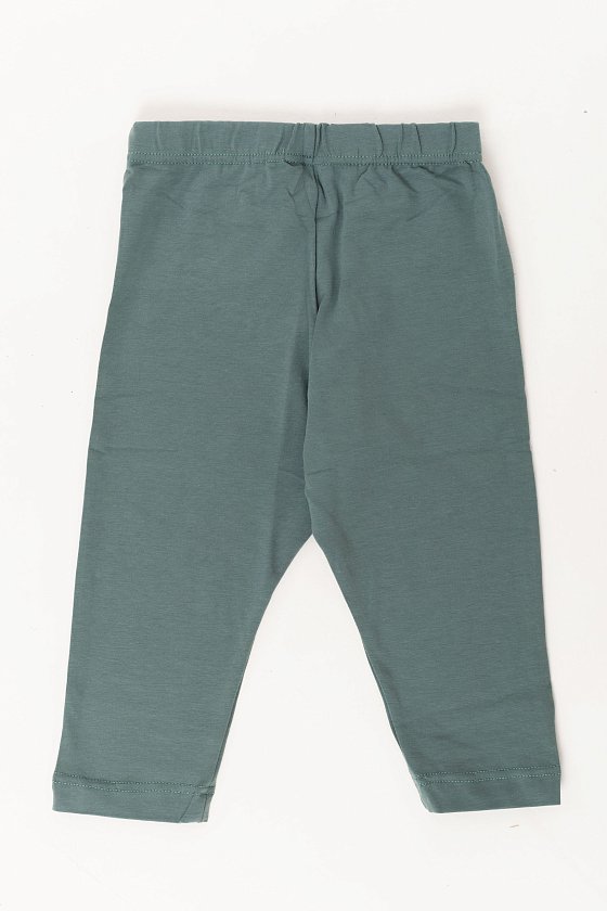 ����������� � �������