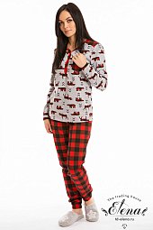 ������ (�����)